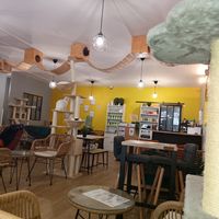  at Le Chat'Ren'Thé - CatCoffee & Restaurant in La Rochelle