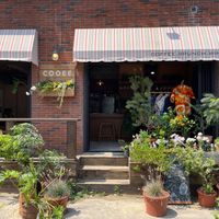  at Cafe Cooee - Maybe closed in Jeju