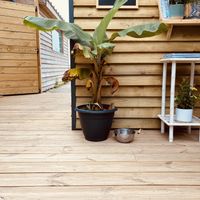   at Face au Bowl in Crozon