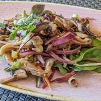 Mushroom larb (vegan) at Palm Pan Asia in Winchester