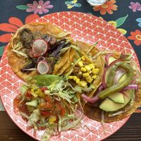   at Para Todos in Trento