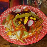 Nachos con verdure e filetto di cactus at Para Todos in Trento