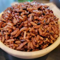  at VeStation Urban Organic Kitchen in Sherman Oaks