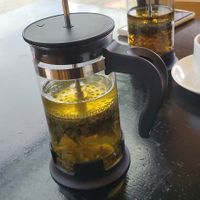  at VeStation Urban Organic Kitchen in Sherman Oaks