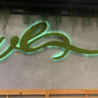   at VeStation Urban Organic Kitchen in Sherman Oaks