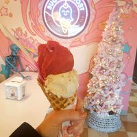 Drago at Sugar Ghost Ice Cream and Bubble Tea in Memphis