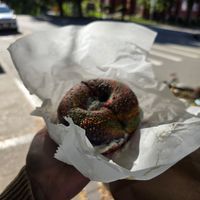  at The Bagel Shoppe in Beacon