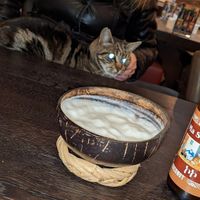 #Veganuary at Vegan Africa in Gouda