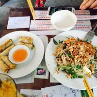 spring rolls and fresh pho noodles (recommend) at Minh Hien in Hoi An