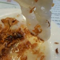 White rose closeup at Minh Hien in Hoi An