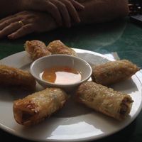 spring rolls, part of set menu for 2 at Minh Hien in Hoi An