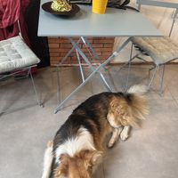   at UMMY - უმმი in Tbilisi