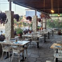  at Taverna Adonis in Kassandra