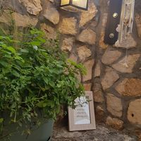  at Mint in Premantura