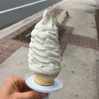 Vegan ice cream at San Marco Dreamette in Jacksonville