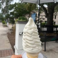 Vegan ice cream cone at San Marco Dreamette in Jacksonville