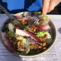 Lettuce cup starter  at Cyprus Avenue in Belfast