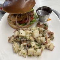 Sassy  at Strong Hearts in Buffalo