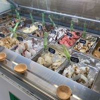 All vegan ice creams at Plan(e)t Ice Cream in Athens
