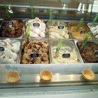 Options at Plan(e)t Ice Cream in Athens