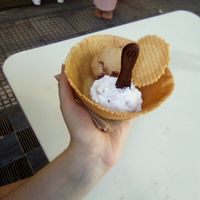 Two flavors in an edible bowl at Plan(e)t Ice Cream in Athens