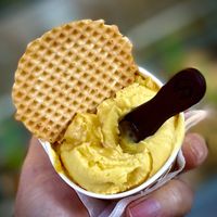 Panettone Ice Cream #Veganuary at Plan(e)t Ice Cream in Athens