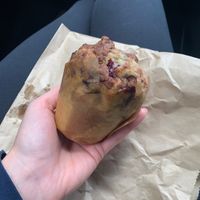 Vegan Blueberry Muffin   at Seven Districts Coffee in Lincoln