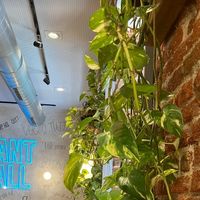  at EatMyTrip Brunch & Dinner Madrid in Madrid