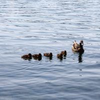 Not on the menu!!! at MOLO in Hannover