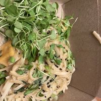 Peanut tofu noodles   at Vegan A.F. in Brattleboro