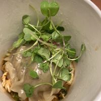Vegetable dumplings   at Vegan A.F. in Brattleboro