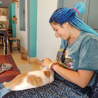  at The Happy Cat - Veggie Cafe-Restaurant in Luang Prabang