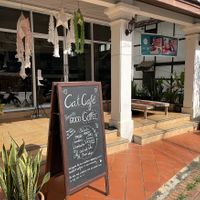   at The Happy Cat - Veggie Cafe-Restaurant in Luang Prabang