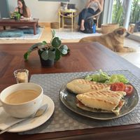   at The Happy Cat - Veggie Cafe-Restaurant in Luang Prabang