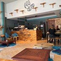   at The Happy Cat - Veggie Cafe-Restaurant in Luang Prabang