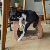  at The Happy Cat - Veggie Cafe-Restaurant in Luang Prabang