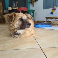 S at The Happy Cat - Veggie Cafe-Restaurant in Luang Prabang