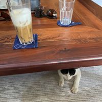 Iced cappuccino with oat milk - and a cat!  at The Happy Cat - Veggie Cafe-Restaurant in Luang Prabang