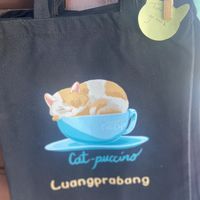 How cute bag?  at The Happy Cat - Veggie Cafe-Restaurant in Luang Prabang