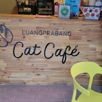 Outside view at The Happy Cat - Veggie Cafe-Restaurant in Luang Prabang