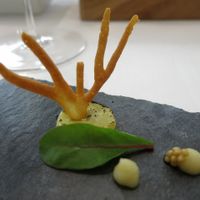 Tian, Vienna at TIAN Restaurant in Vienna