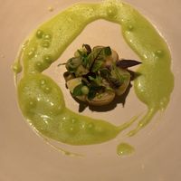   at TIAN Restaurant in Vienna