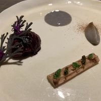Salsify  at TIAN Restaurant in Vienna