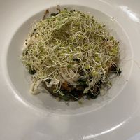   at Frothy Monkey  in Nashville