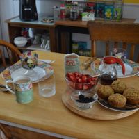 Yummy breakfast at Ginger Cat. Muffins, yogurt parfaits, fresh fruit, coffee and tea. Gita also made hash browns and waffles (not in picture). at The Ginger Cat B&B in Rock Stream