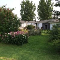 Back of the house, beautiful yard and gardens! at The Ginger Cat B&B in Rock Stream