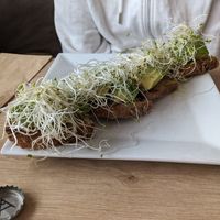 Avo on toast at Airampo in Lima