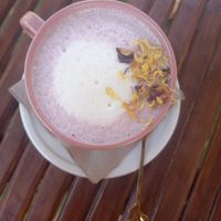  at Be Kind in Cattolica