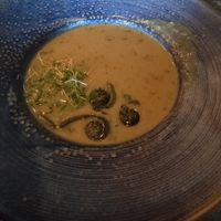 Soup with fiddleheads  at Bandaloop in Arundel