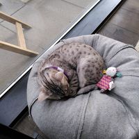  at Miau Grau in Warsaw